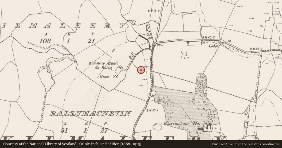 Ordnance Survey six-inch map, 2nd edition (1888–1915) covering the location of Ringfort - rath, Ballymacnevin, County Clare, with a pin at the register's coordinates