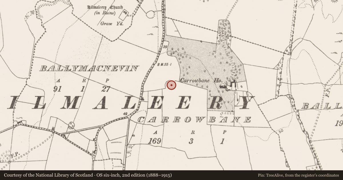 Ordnance Survey six-inch map, 2nd edition (1888–1915) covering the location of Ringfort - rath, Carrowbane, County Clare, with a pin at the register's coordinates