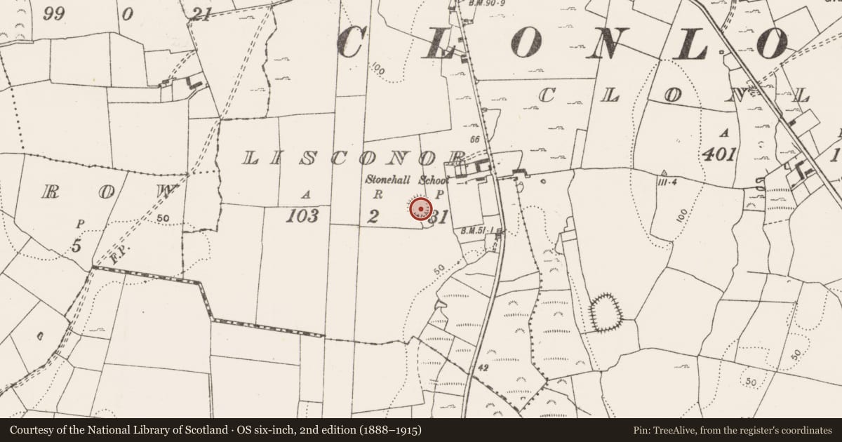 Ordnance Survey six-inch map, 2nd edition (1888–1915) covering the location of Ringfort - cashel, Lisconor, County Clare, with a pin at the register's coordinates