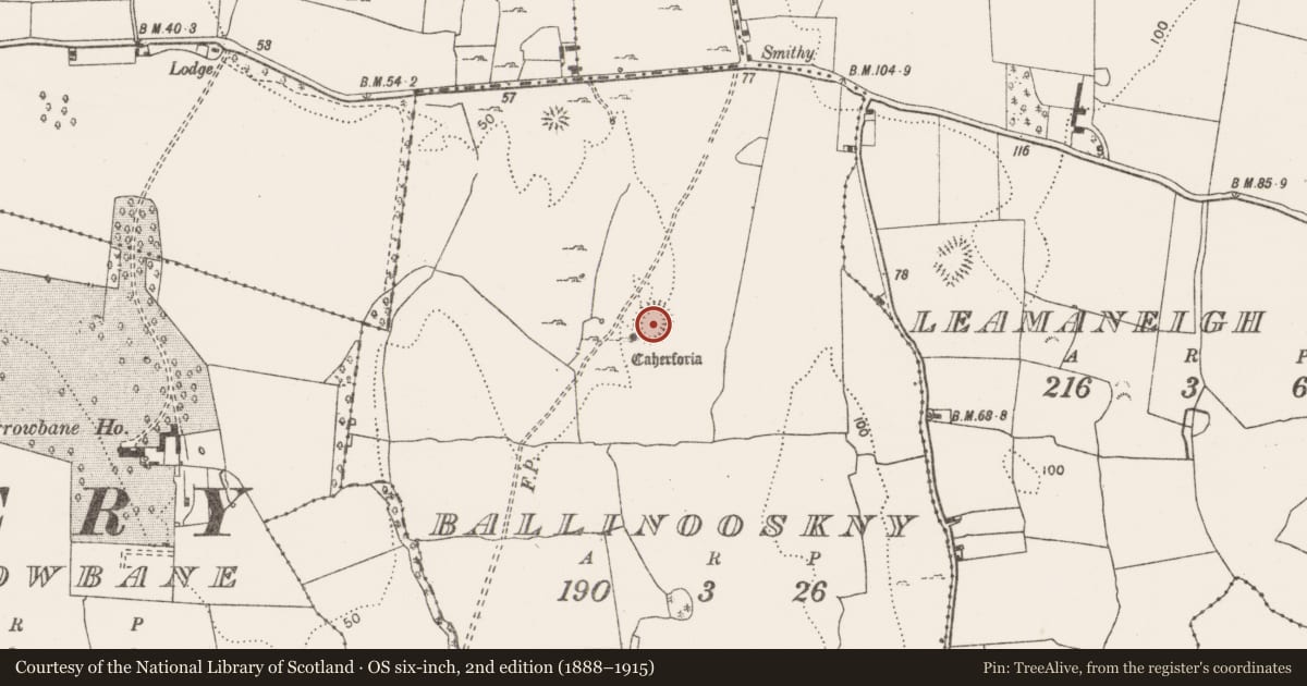 Ordnance Survey six-inch map, 2nd edition (1888–1915) covering the location of House - indeterminate date, Ballinooskny (Urlan), County Clare, with a pin at the register's coordinates