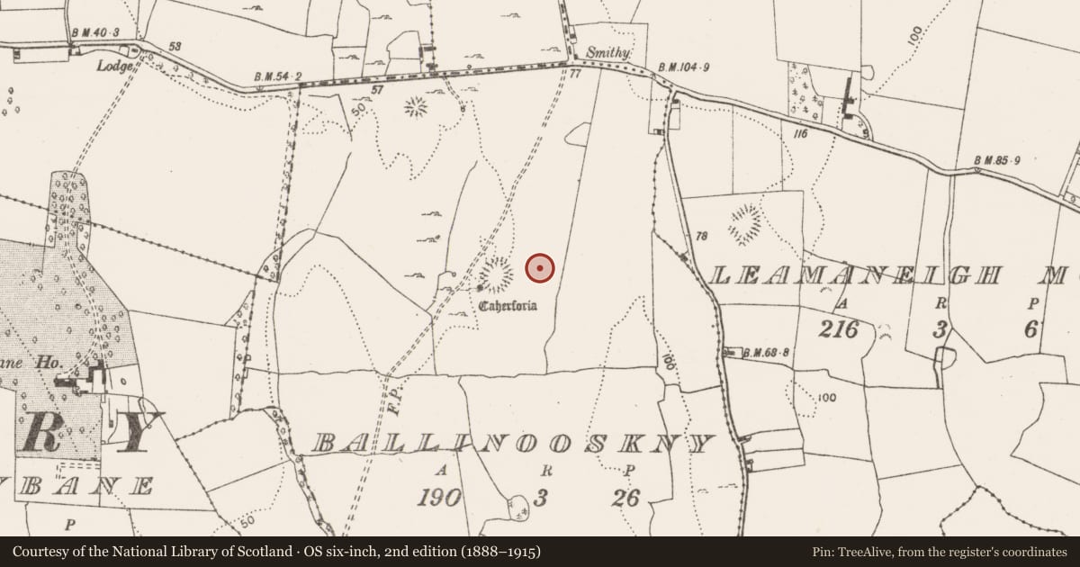 Ordnance Survey six-inch map, 2nd edition (1888–1915) covering the location of Field system, Ballinooskny (Urlan), County Clare, with a pin at the register's coordinates