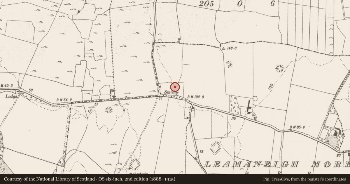 Ordnance Survey six-inch map, 2nd edition (1888–1915) covering the location of Earthwork, Leamaneigh More, County Clare, with a pin at the register's coordinates