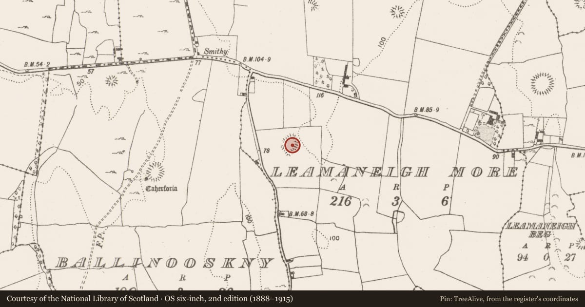 Ordnance Survey six-inch map, 2nd edition (1888–1915) covering the location of Ringfort - rath, Leamaneigh More, County Clare, with a pin at the register's coordinates