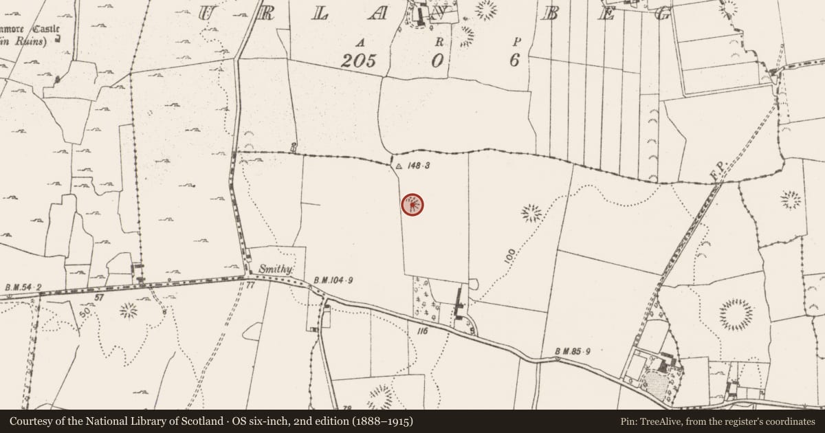 Ordnance Survey six-inch map, 2nd edition (1888–1915) covering the location of Enclosure, Leamaneigh More, County Clare, with a pin at the register's coordinates