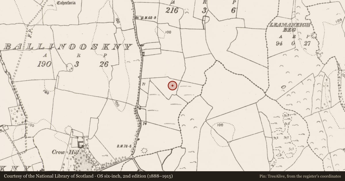 Ordnance Survey six-inch map, 2nd edition (1888–1915) covering the location of Enclosure, Leamaneigh More, County Clare, with a pin at the register's coordinates