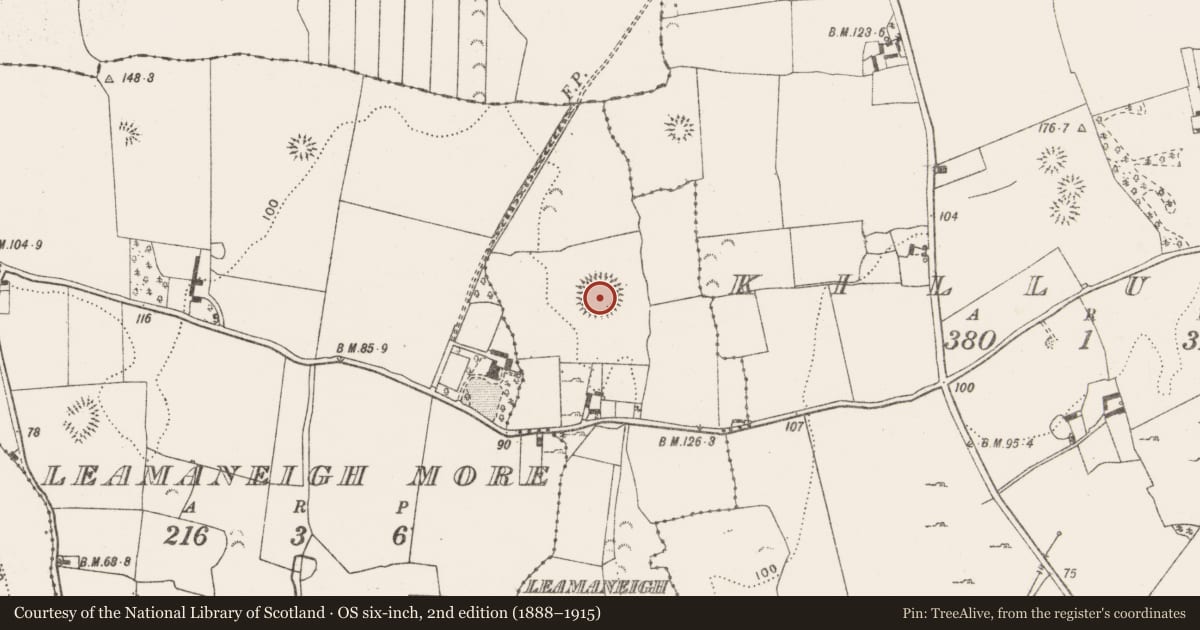 Ordnance Survey six-inch map, 2nd edition (1888–1915) covering the location of Ringfort - rath, Leamaneigh Beg, County Clare, with a pin at the register's coordinates
