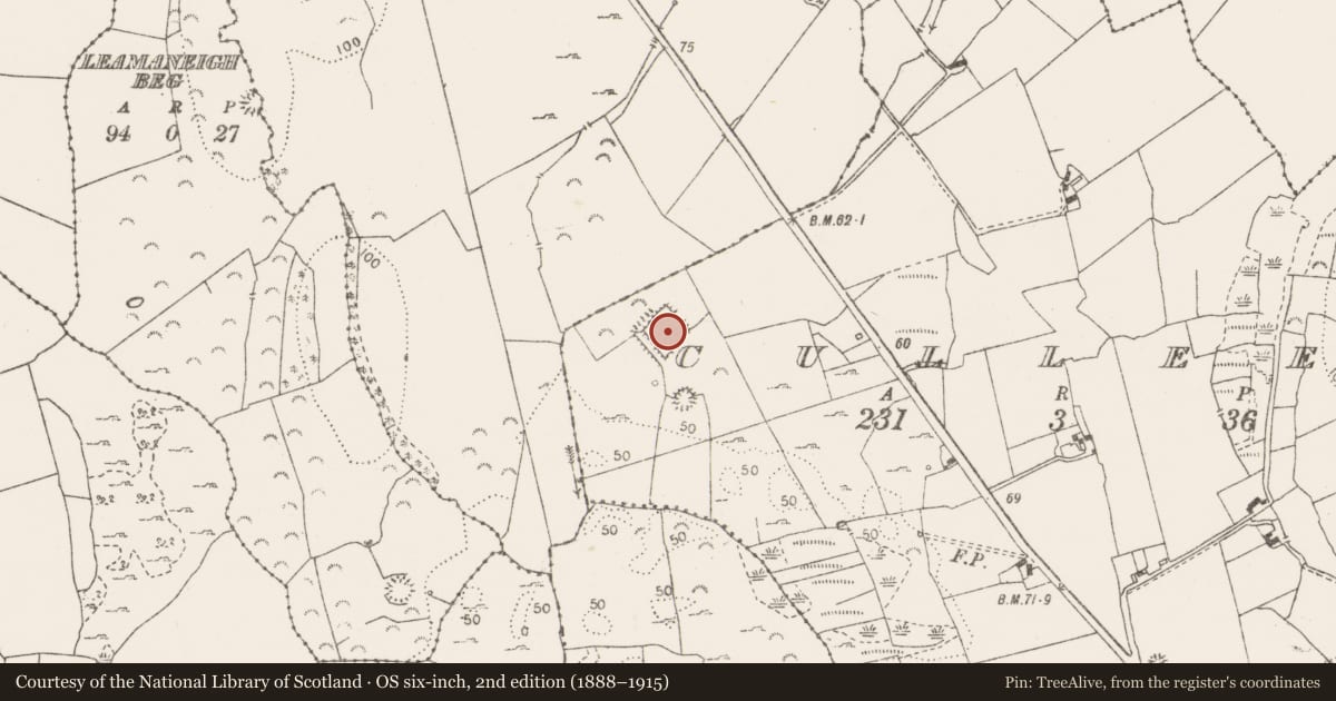 Ordnance Survey six-inch map, 2nd edition (1888–1915) covering the location of Moated site, Culleen, County Clare, with a pin at the register's coordinates