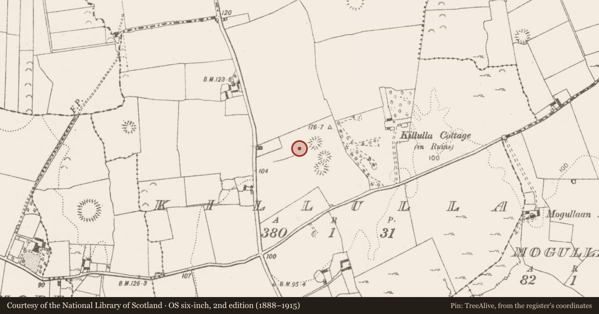 Ordnance Survey six-inch map, 2nd edition (1888–1915) covering the location of Road - road/trackway, Killulla, County Clare, with a pin at the register's coordinates