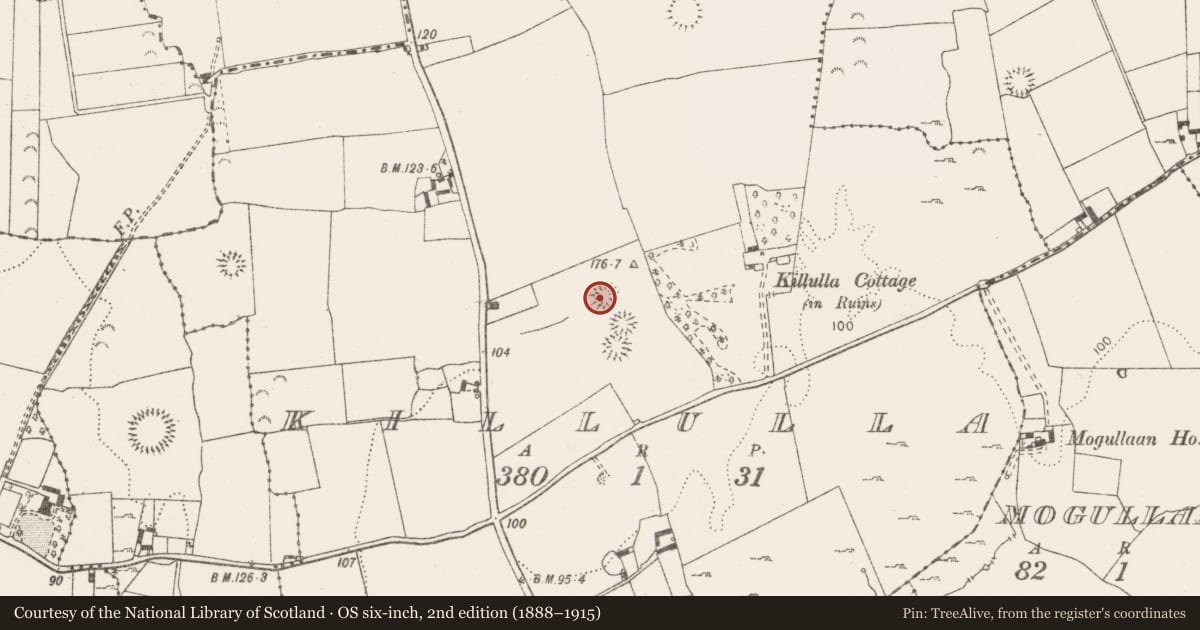 Ordnance Survey six-inch map, 2nd edition (1888–1915) covering the location of Ringfort - rath, Killulla, County Clare, with a pin at the register's coordinates