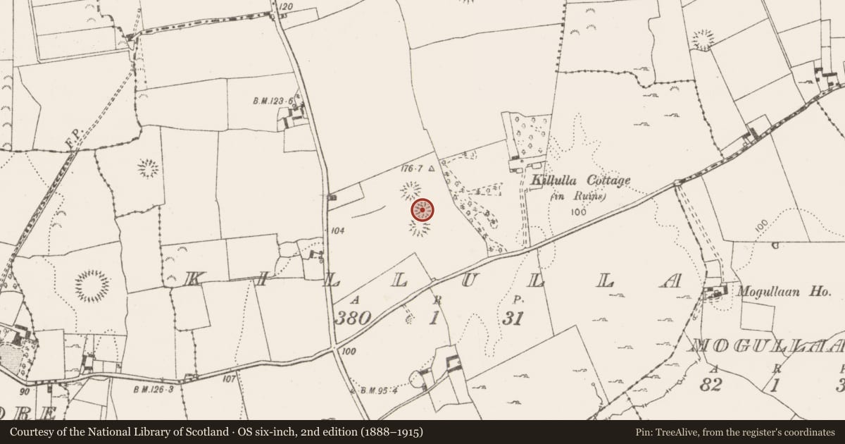 Ordnance Survey six-inch map, 2nd edition (1888–1915) covering the location of Ringfort - rath, Killulla, County Clare, with a pin at the register's coordinates