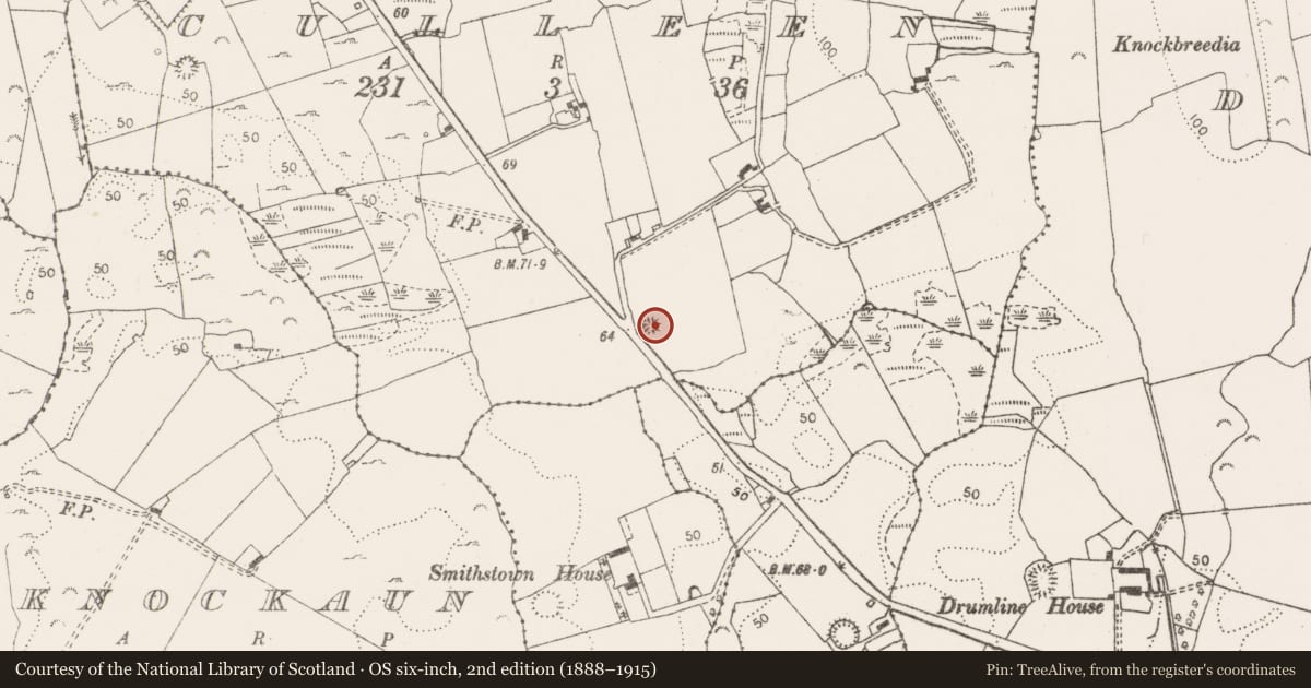 Ordnance Survey six-inch map, 2nd edition (1888–1915) covering the location of Ringfort - unclassified, Culleen, County Clare, with a pin at the register's coordinates