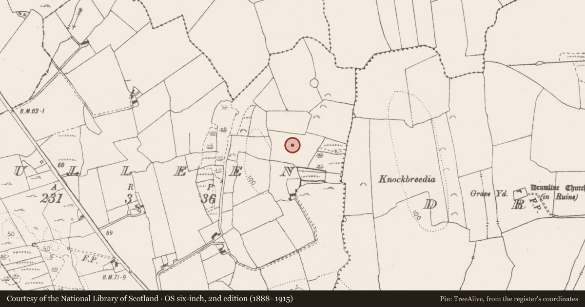 Ordnance Survey six-inch map, 2nd edition (1888–1915) covering the location of Enclosure, Culleen, County Clare, with a pin at the register's coordinates