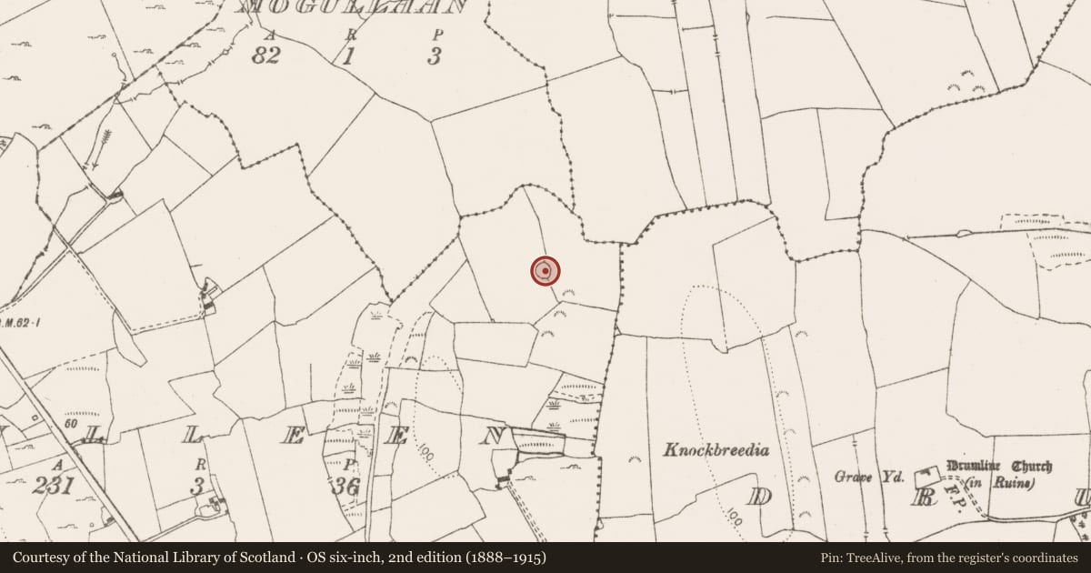 Ordnance Survey six-inch map, 2nd edition (1888–1915) covering the location of Ringfort - rath, Culleen, County Clare, with a pin at the register's coordinates
