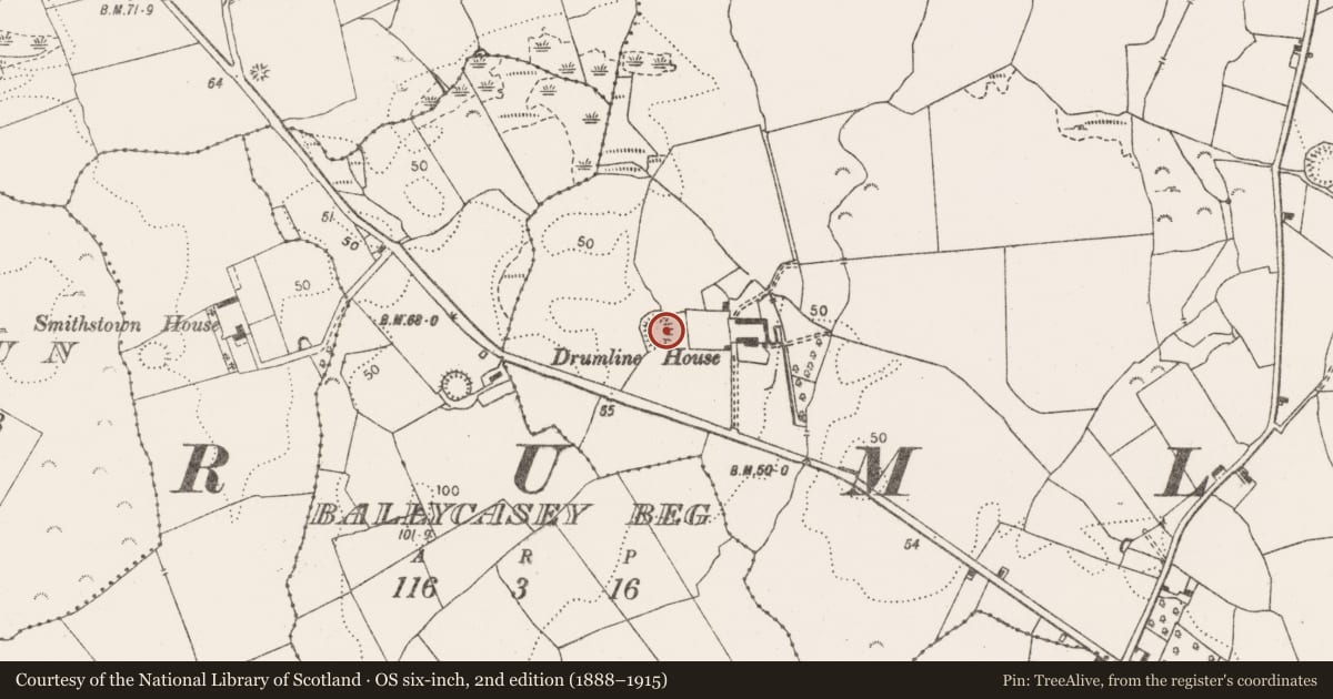 Ordnance Survey six-inch map, 2nd edition (1888–1915) covering the location of Ringfort - rath, Drumline, County Clare, with a pin at the register's coordinates