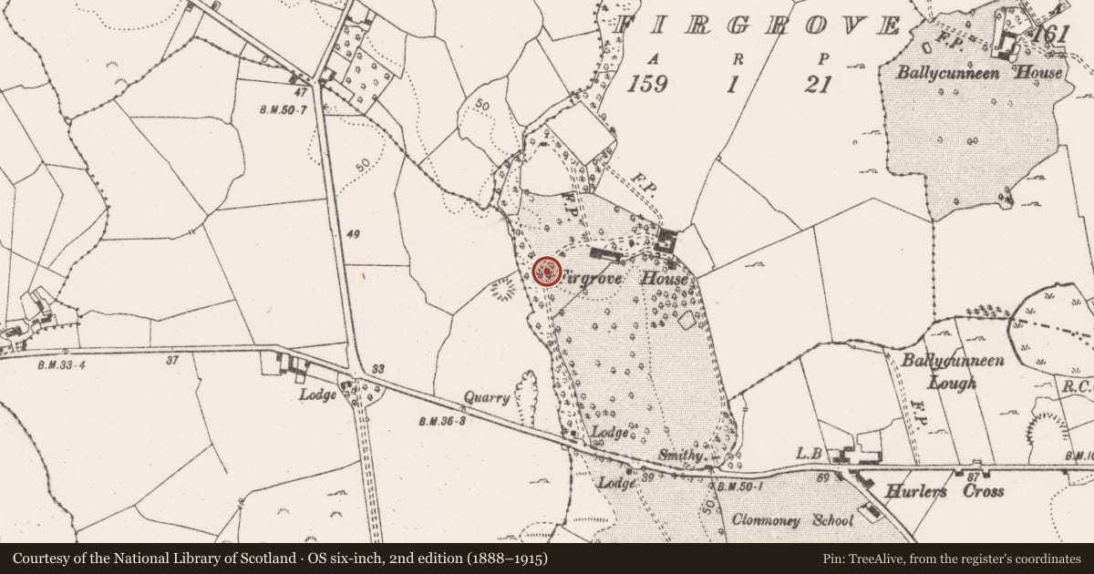 Ordnance Survey six-inch map, 2nd edition (1888–1915) covering the location of Enclosure, Firgrove, County Clare, with a pin at the register's coordinates
