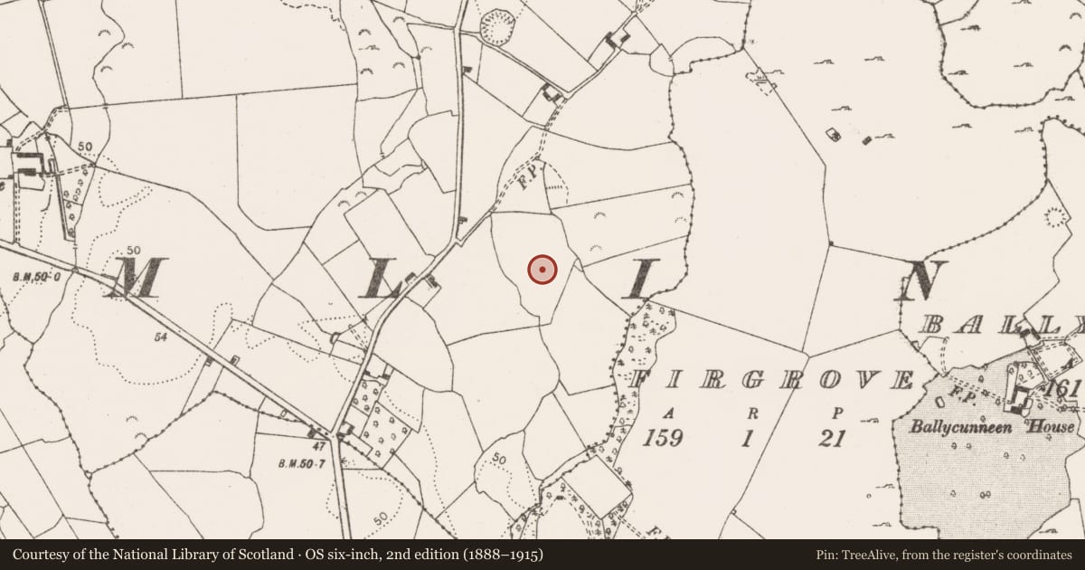 Ordnance Survey six-inch map, 2nd edition (1888–1915) covering the location of Earthwork, Drumline, County Clare, with a pin at the register's coordinates