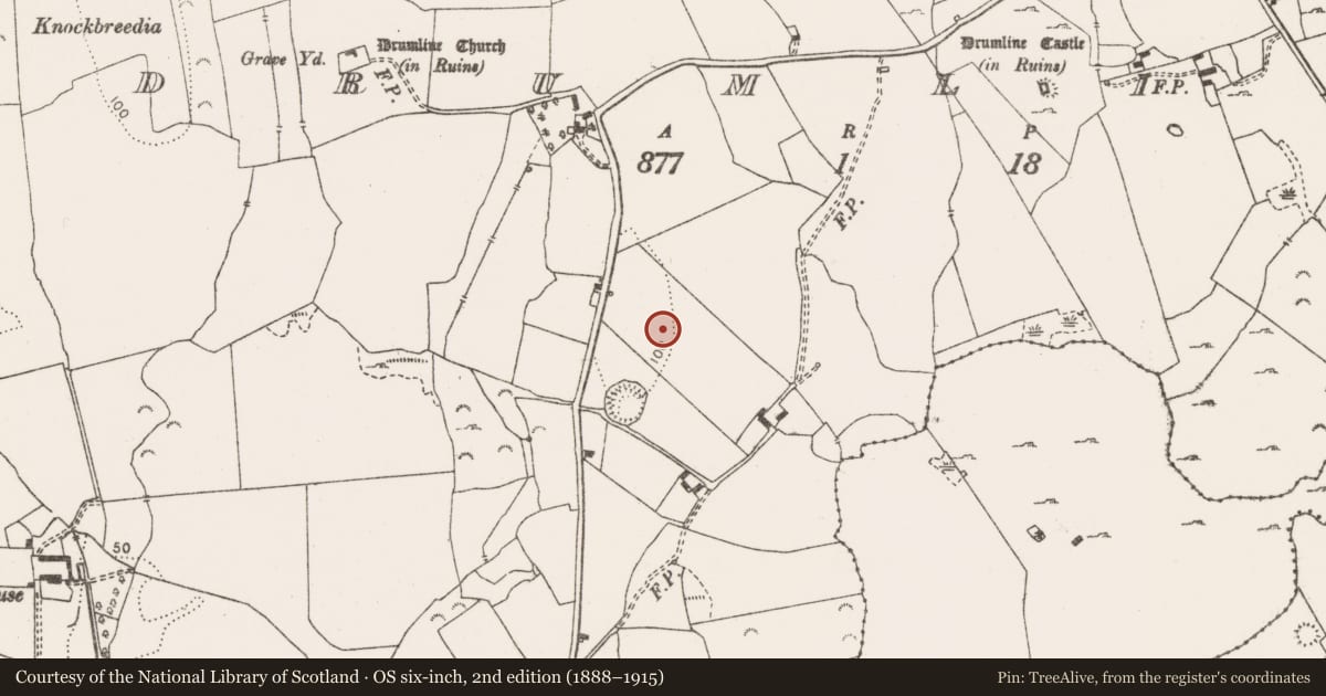 Ordnance Survey six-inch map, 2nd edition (1888–1915) covering the location of Enclosure, Drumline, County Clare, with a pin at the register's coordinates