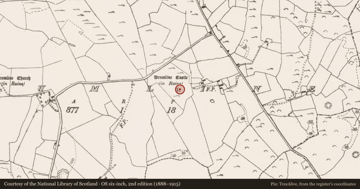 Ordnance Survey six-inch map, 2nd edition (1888–1915) covering the location of Earthwork, Drumline, County Clare, with a pin at the register's coordinates