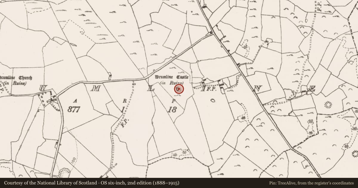 Ordnance Survey six-inch map, 2nd edition (1888–1915) covering the location of Castle - tower house, Drumline, County Clare, with a pin at the register's coordinates