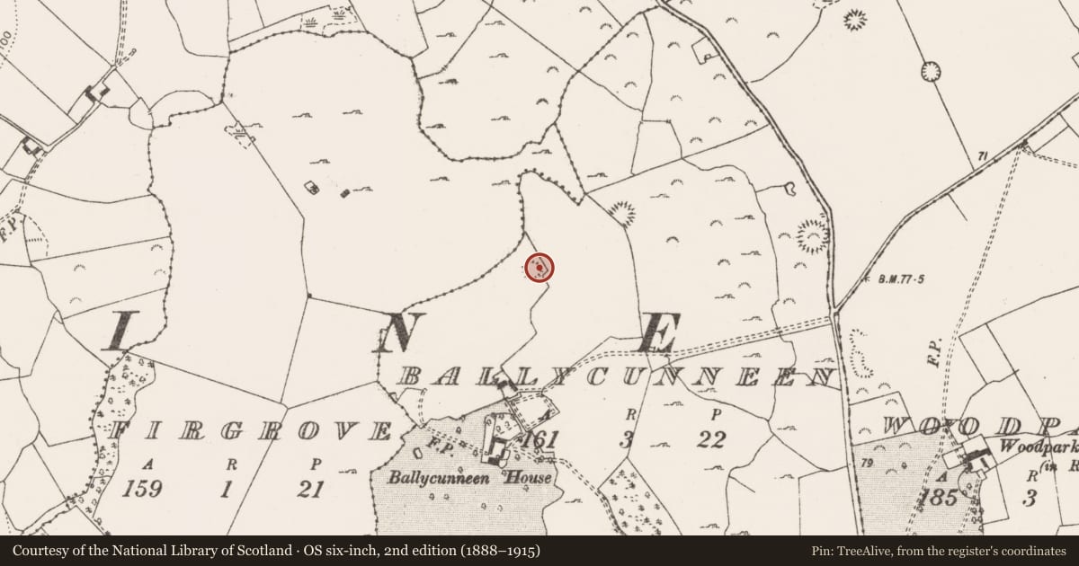 Ordnance Survey six-inch map, 2nd edition (1888–1915) covering the location of Ringfort - unclassified, Ballycunneen, County Clare, with a pin at the register's coordinates