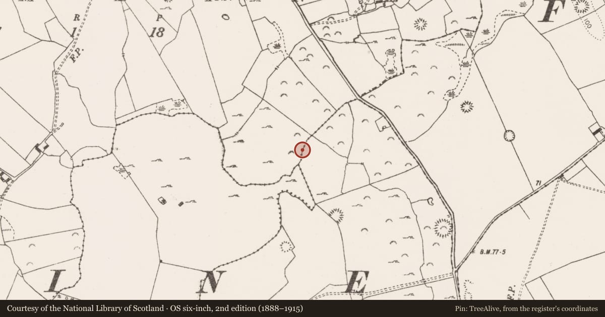 Ordnance Survey six-inch map, 2nd edition (1888–1915) covering the location of Bullaun stone, Drumline, County Clare, with a pin at the register's coordinates