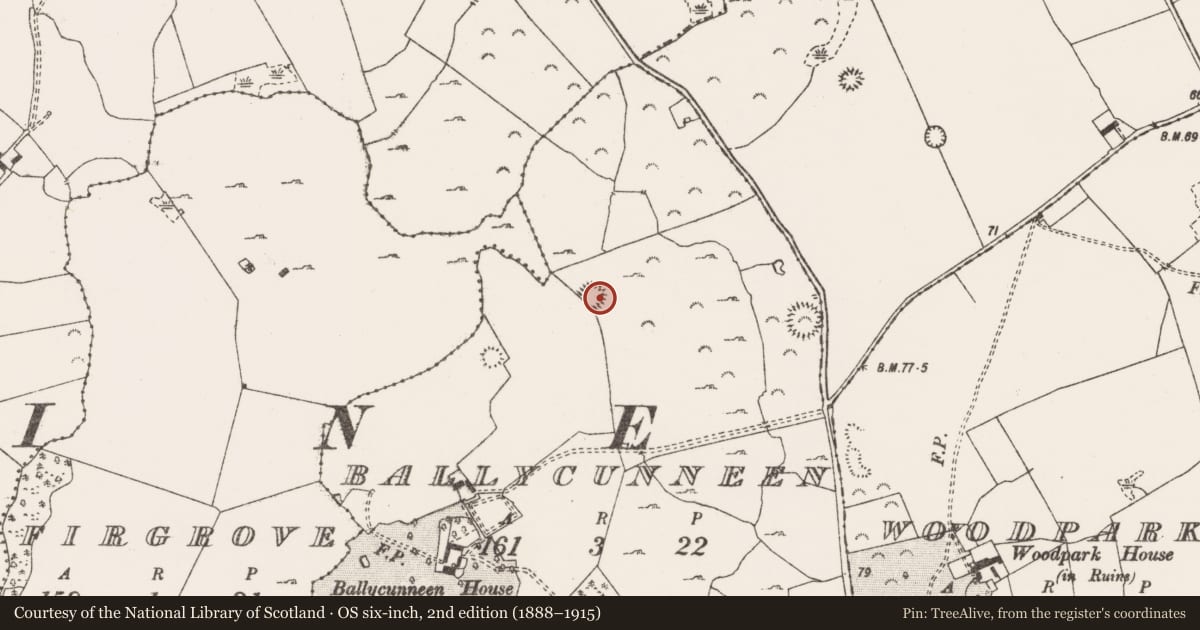 Ordnance Survey six-inch map, 2nd edition (1888–1915) covering the location of Enclosure, Ballycunneen, County Clare, with a pin at the register's coordinates