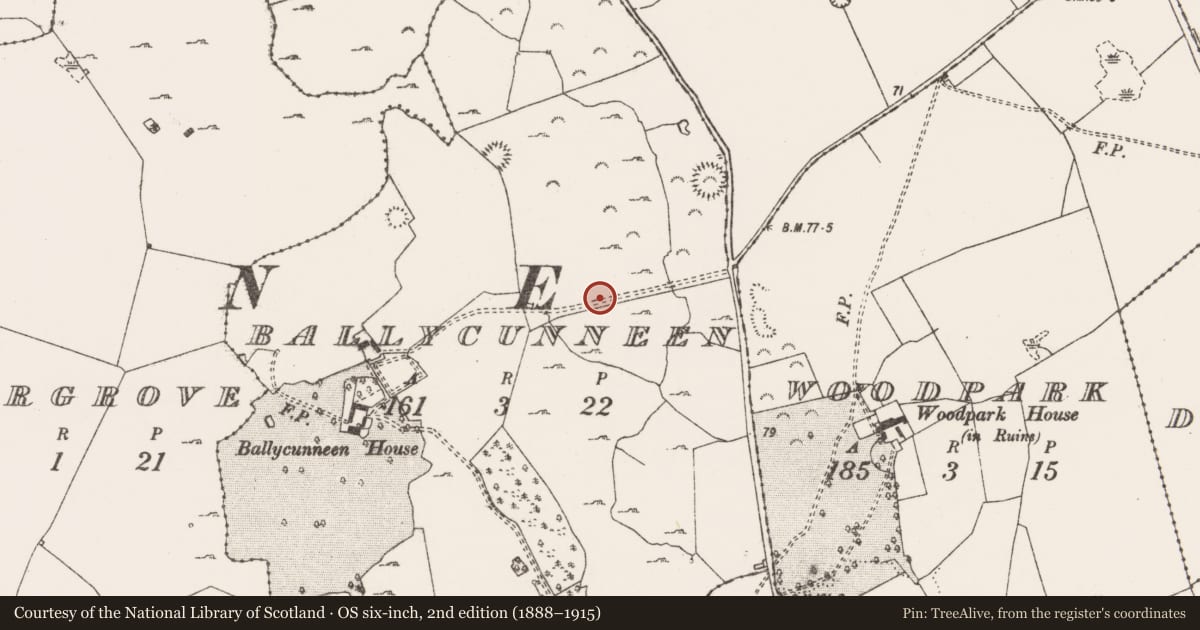 Ordnance Survey six-inch map, 2nd edition (1888–1915) covering the location of Standing stone, Ballycunneen, County Clare, with a pin at the register's coordinates