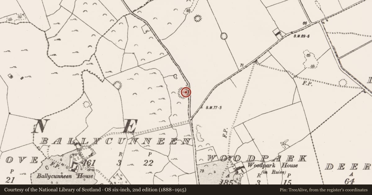 Ordnance Survey six-inch map, 2nd edition (1888–1915) covering the location of Ringfort - rath, Ballycunneen, County Clare, with a pin at the register's coordinates