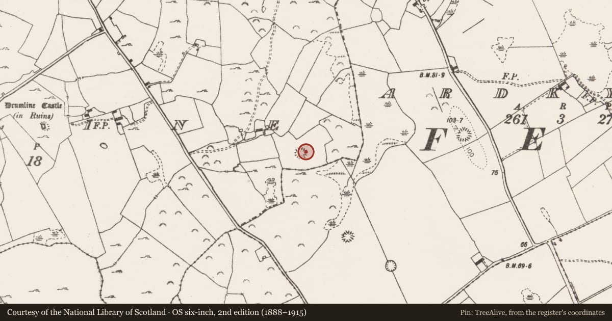 Ordnance Survey six-inch map, 2nd edition (1888–1915) covering the location of Ringfort - rath, Drumline, County Clare, with a pin at the register's coordinates