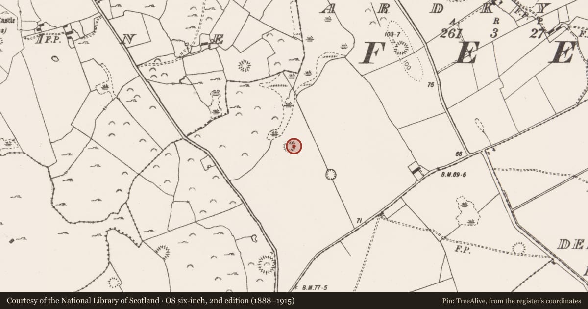 Ordnance Survey six-inch map, 2nd edition (1888–1915) covering the location of Enclosure, Ardkyle, County Clare, with a pin at the register's coordinates