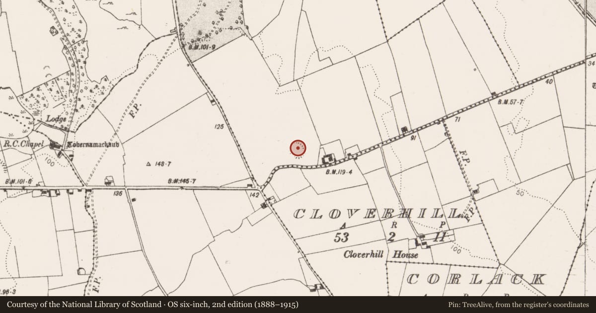 Ordnance Survey six-inch map, 2nd edition (1888–1915) covering the location of Ringfort - rath, Woodpark, County Clare, with a pin at the register's coordinates