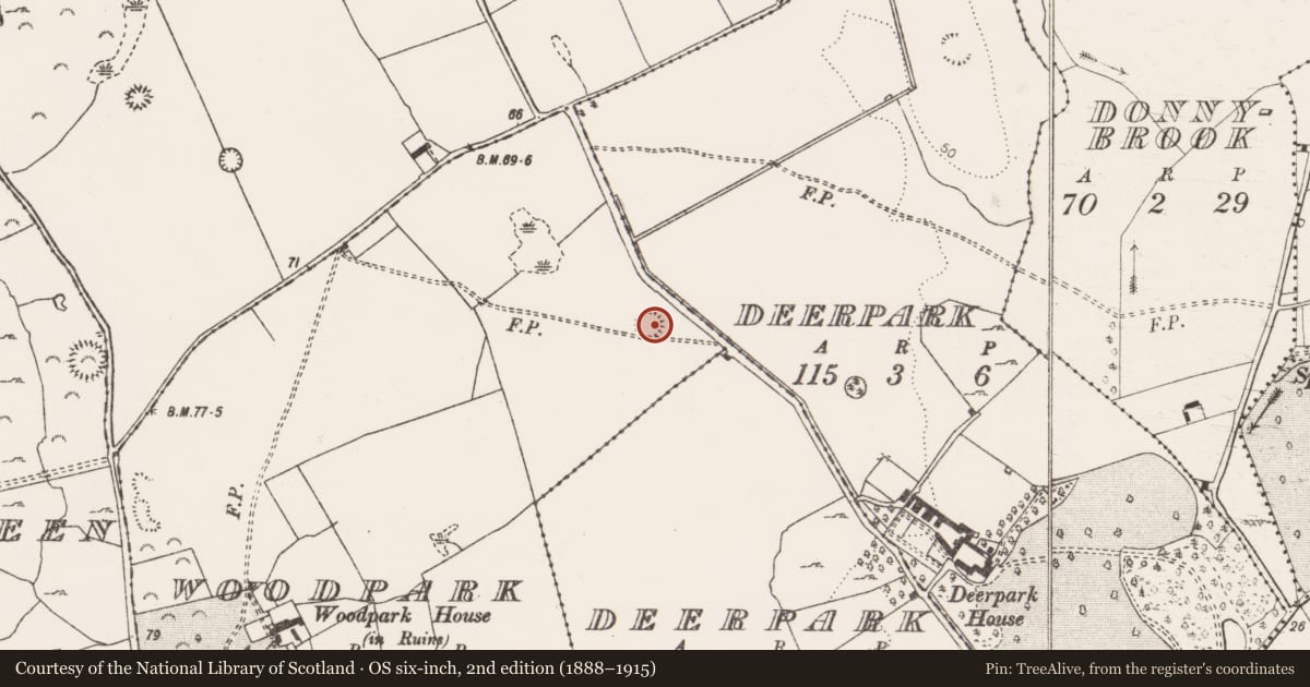 Ordnance Survey six-inch map, 2nd edition (1888–1915) covering the location of Enclosure, Woodpark, County Clare, with a pin at the register's coordinates