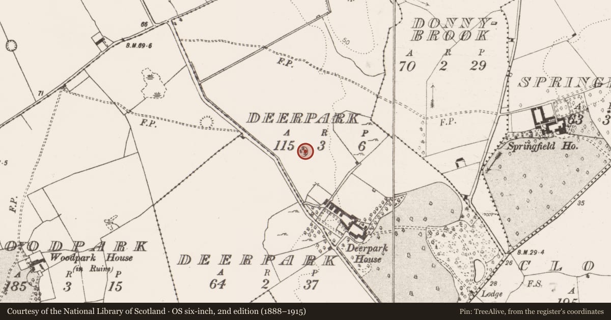 Ordnance Survey six-inch map, 2nd edition (1888–1915) covering the location of Ringfort - rath, Deerpark, County Clare, with a pin at the register's coordinates