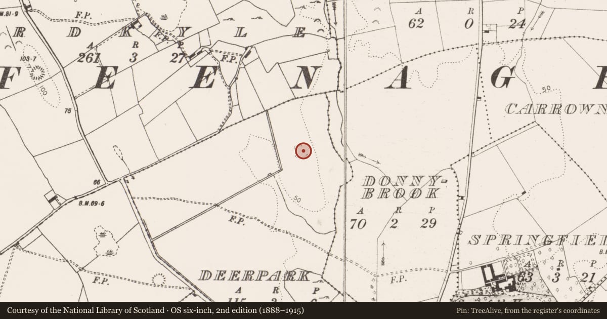 Ordnance Survey six-inch map, 2nd edition (1888–1915) covering the location of Enclosure, Deerpark, County Clare, with a pin at the register's coordinates