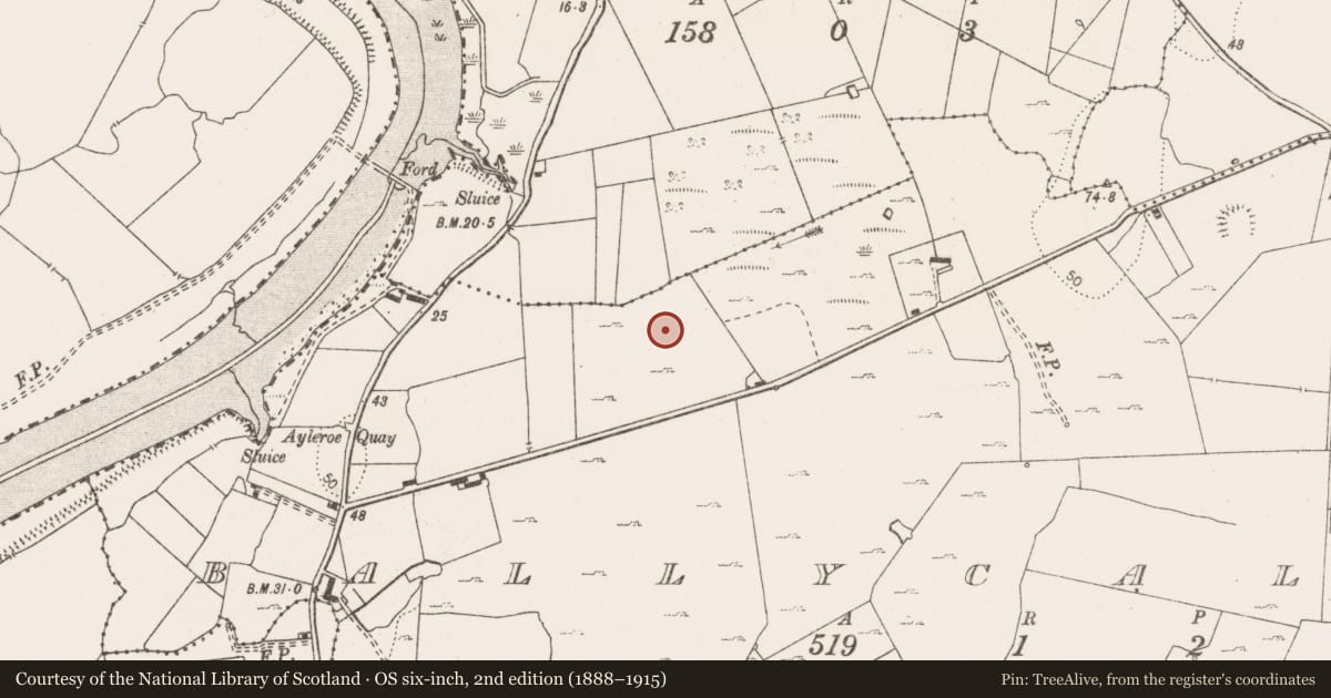 Ordnance Survey six-inch map, 2nd edition (1888–1915) covering the location of Enclosure, Ballycally, County Clare, with a pin at the register's coordinates