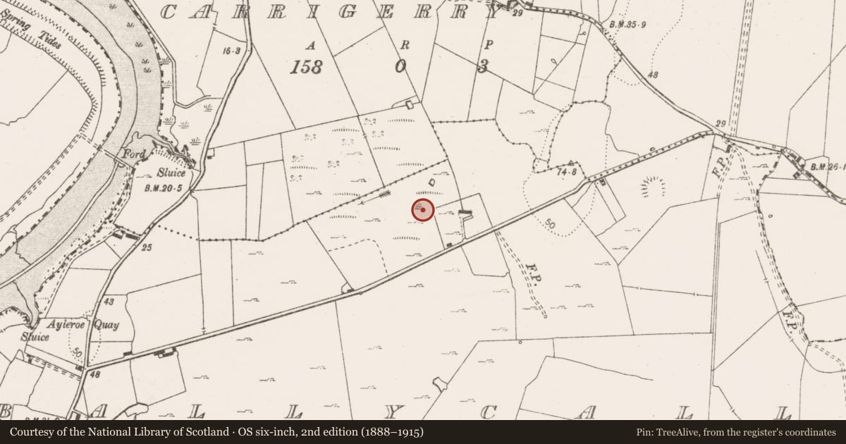 Ordnance Survey six-inch map, 2nd edition (1888–1915) covering the location of Mound, Ballycally, County Clare, with a pin at the register's coordinates