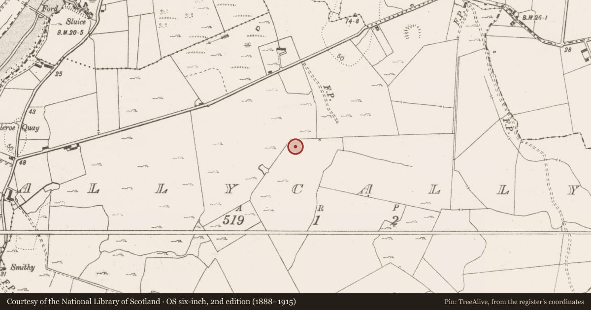 Ordnance Survey six-inch map, 2nd edition (1888–1915) covering the location of Souterrain, Ballycally, County Clare, with a pin at the register's coordinates