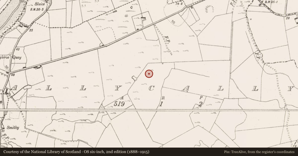 Ordnance Survey six-inch map, 2nd edition (1888–1915) covering the location of Enclosure, Ballycally, County Clare, with a pin at the register's coordinates
