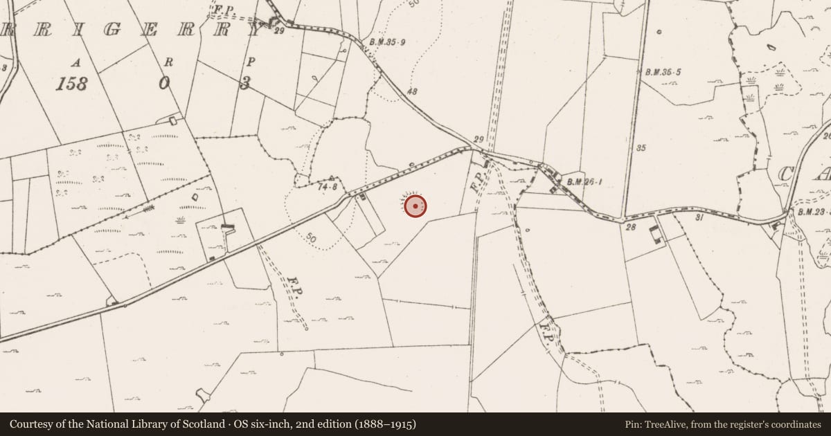 Ordnance Survey six-inch map, 2nd edition (1888–1915) covering the location of Ringfort - rath, Ballycally, County Clare, with a pin at the register's coordinates
