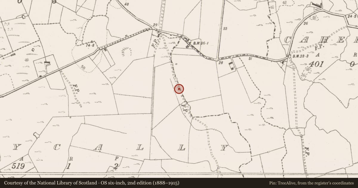 Ordnance Survey six-inch map, 2nd edition (1888–1915) covering the location of Road - road/trackway, Ballycally, County Clare, with a pin at the register's coordinates