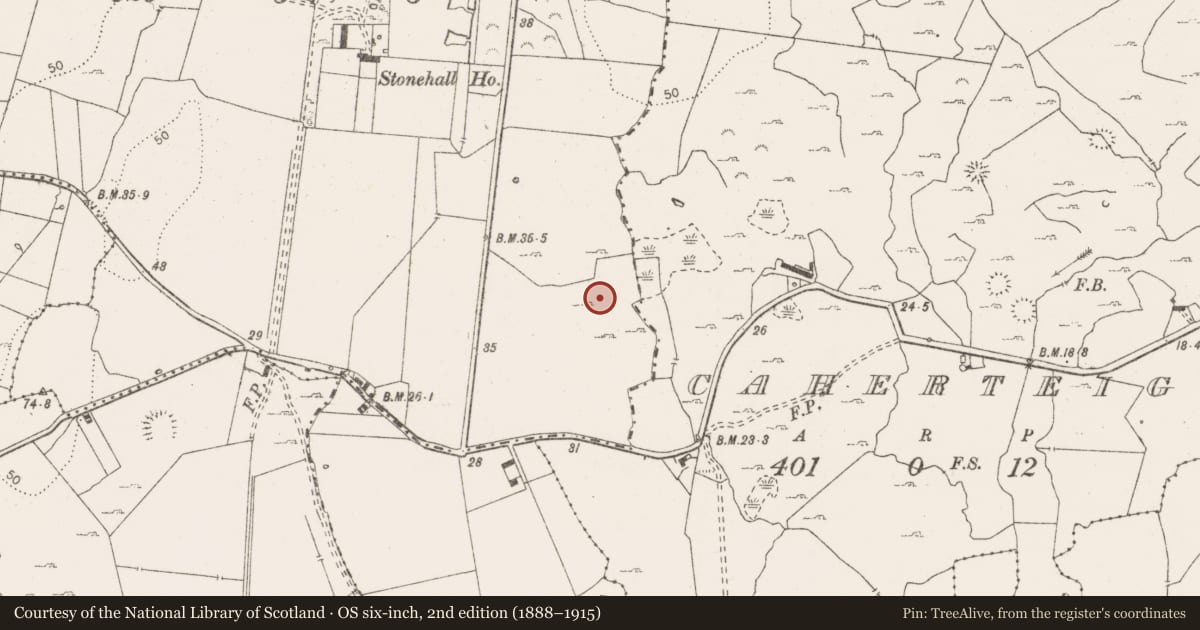 Ordnance Survey six-inch map, 2nd edition (1888–1915) covering the location of Field boundary, Stonehall, County Clare, with a pin at the register's coordinates
