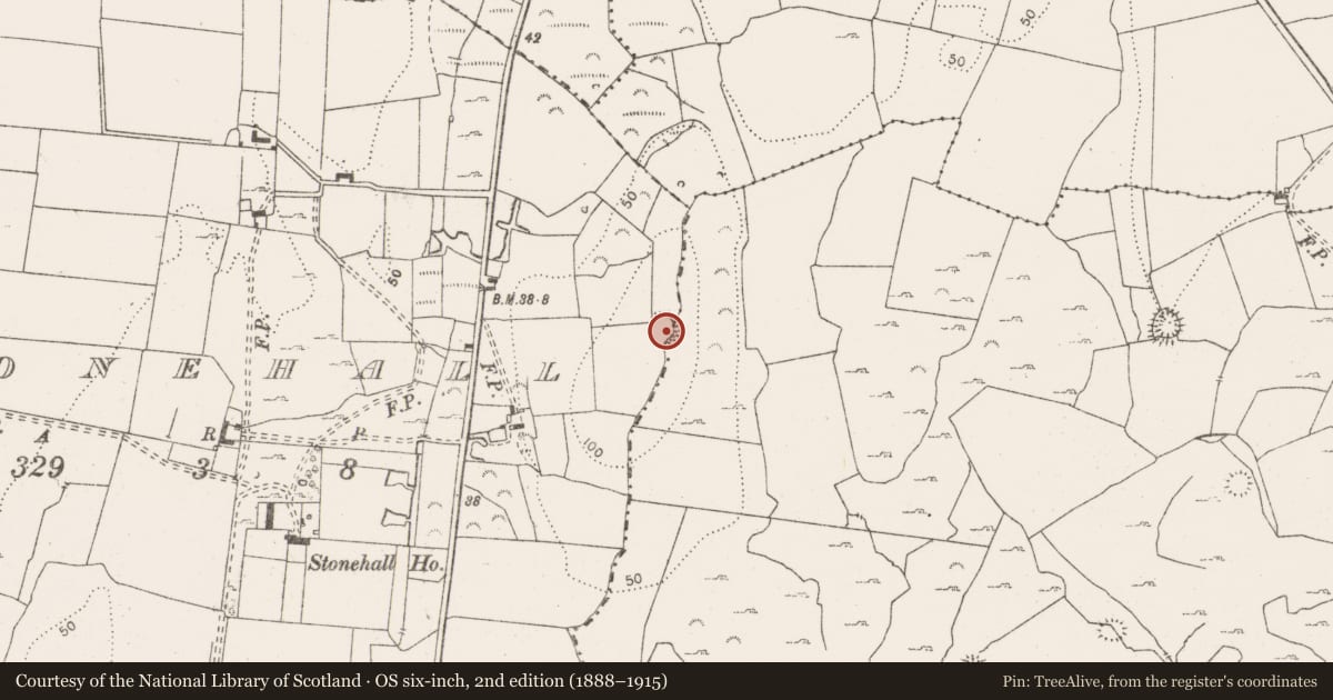 Ordnance Survey six-inch map, 2nd edition (1888–1915) covering the location of Enclosure, Caherteige, Stonehall, County Clare, with a pin at the register's coordinates