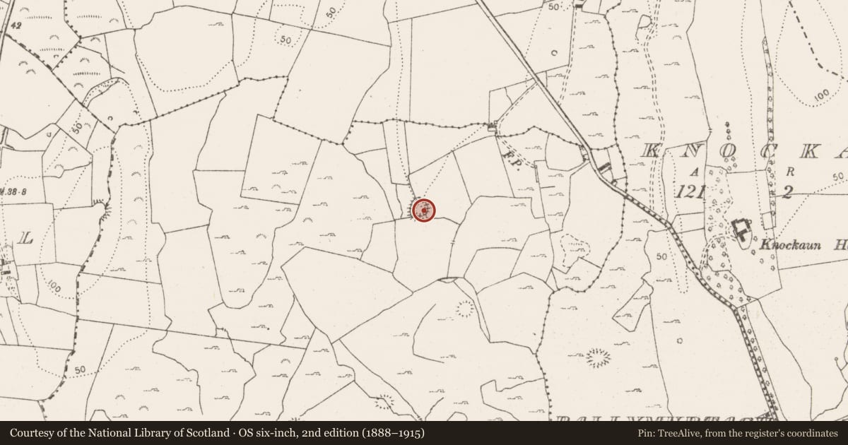 Ordnance Survey six-inch map, 2nd edition (1888–1915) covering the location of Ringfort - rath, Caherteige, County Clare, with a pin at the register's coordinates