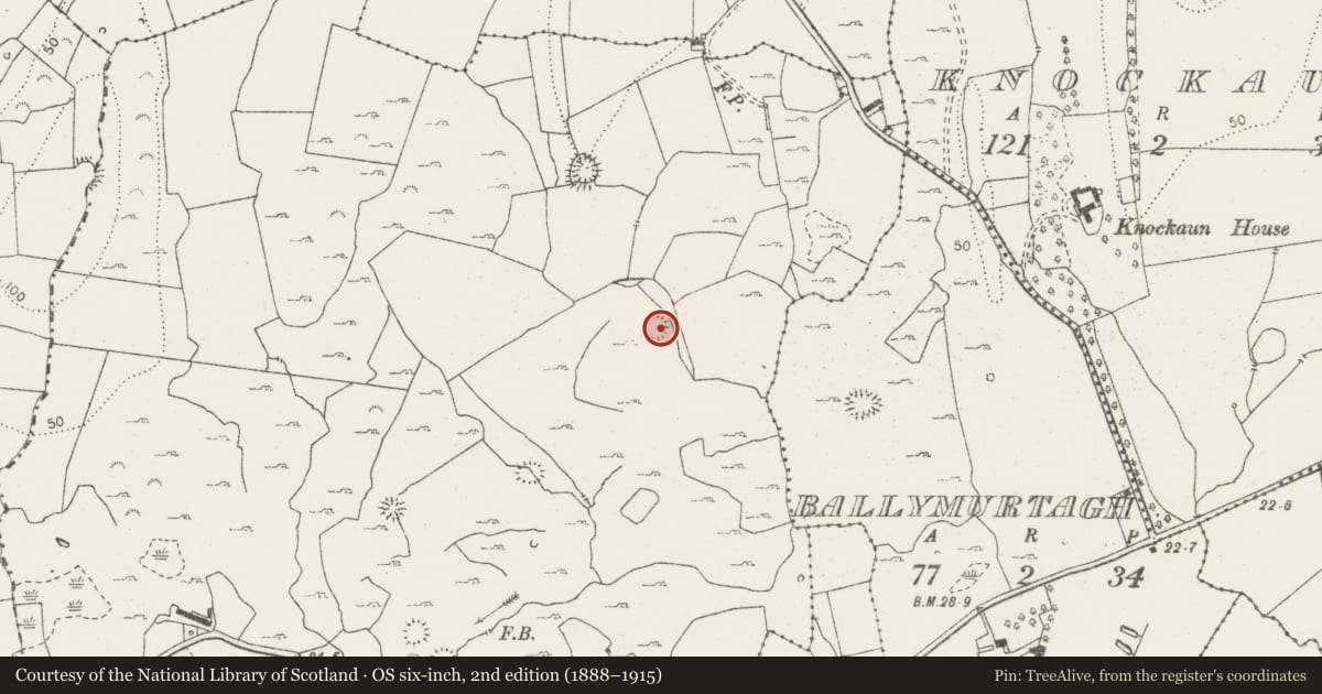 Ordnance Survey six-inch map, 2nd edition (1888–1915) covering the location of Enclosure, Caherteige, County Clare, with a pin at the register's coordinates