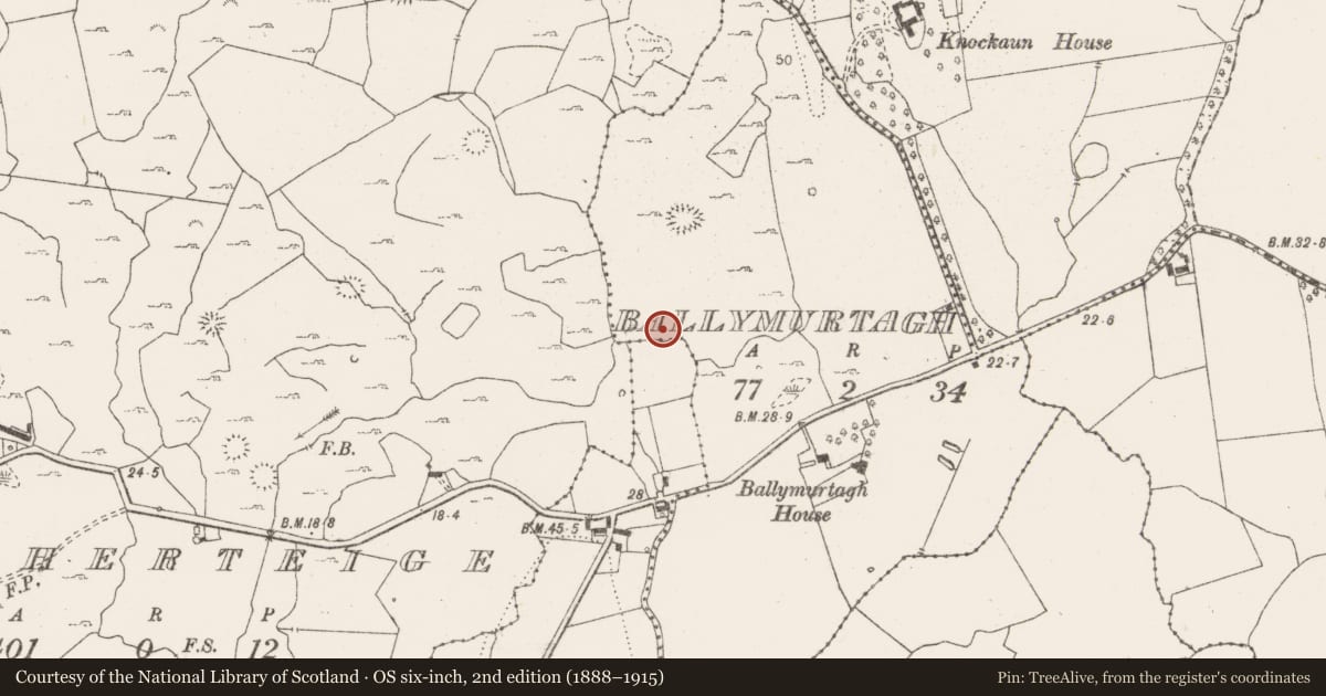 Ordnance Survey six-inch map, 2nd edition (1888–1915) covering the location of Enclosure, Ballymurtagh, County Clare, with a pin at the register's coordinates