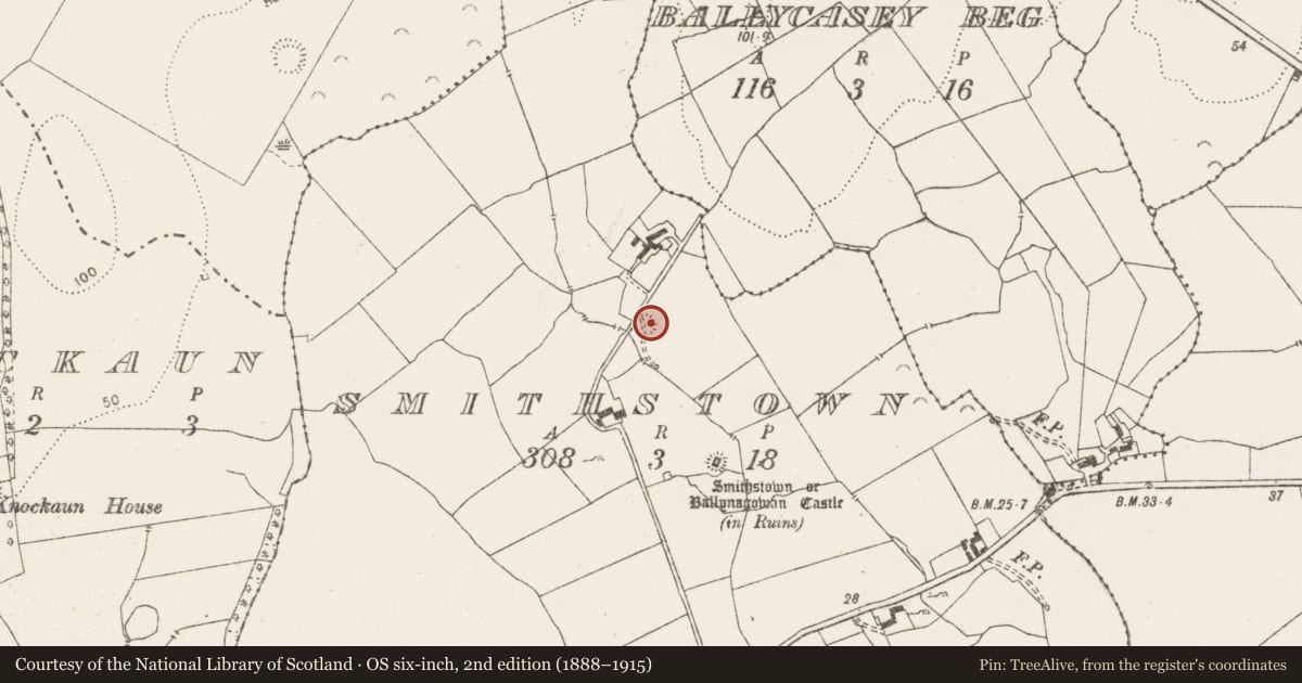 Ordnance Survey six-inch map, 2nd edition (1888–1915) covering the location of Enclosure, Smithstown, County Clare, with a pin at the register's coordinates