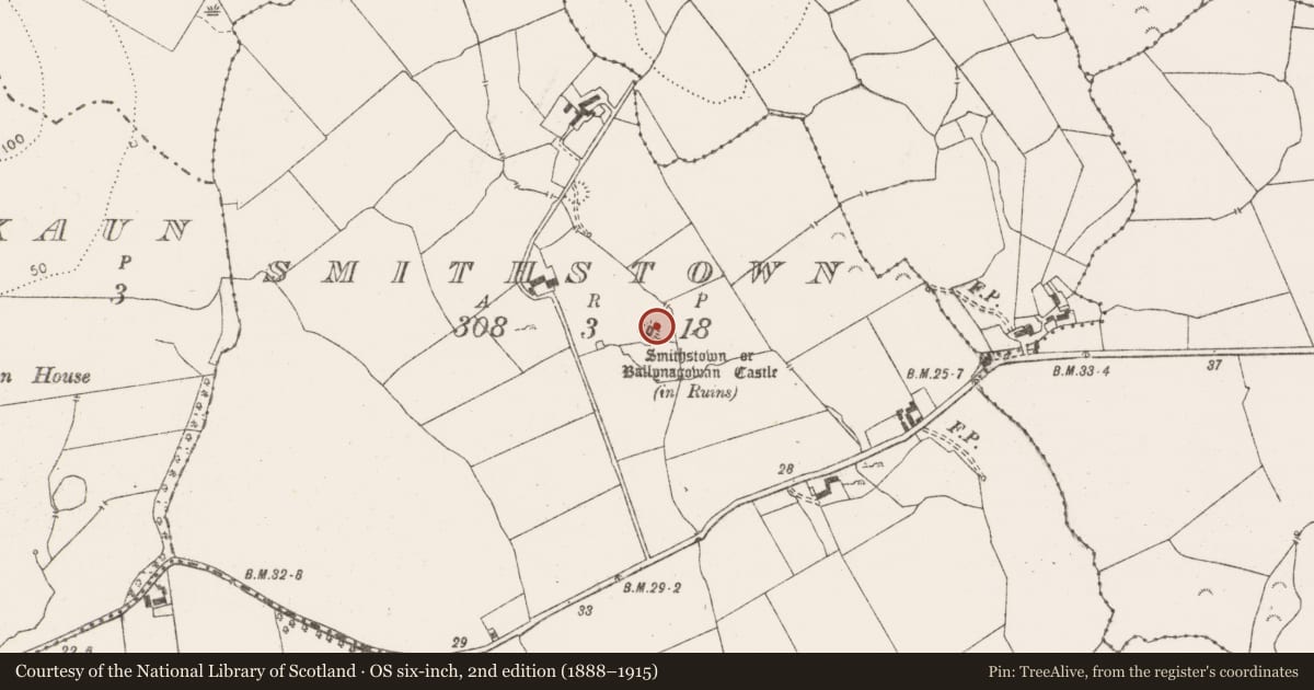 Ordnance Survey six-inch map, 2nd edition (1888–1915) covering the location of Earthwork, Smithstown, County Clare, with a pin at the register's coordinates