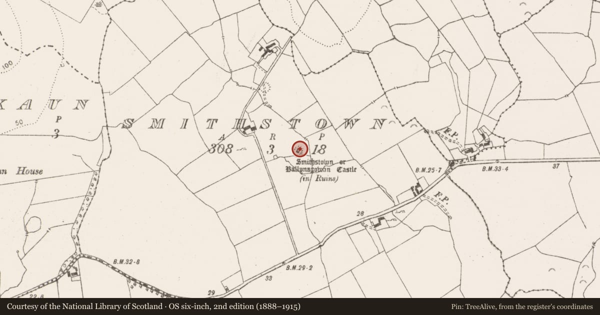 Ordnance Survey six-inch map, 2nd edition (1888–1915) covering the location of Castle - tower house, Smithstown, County Clare, with a pin at the register's coordinates
