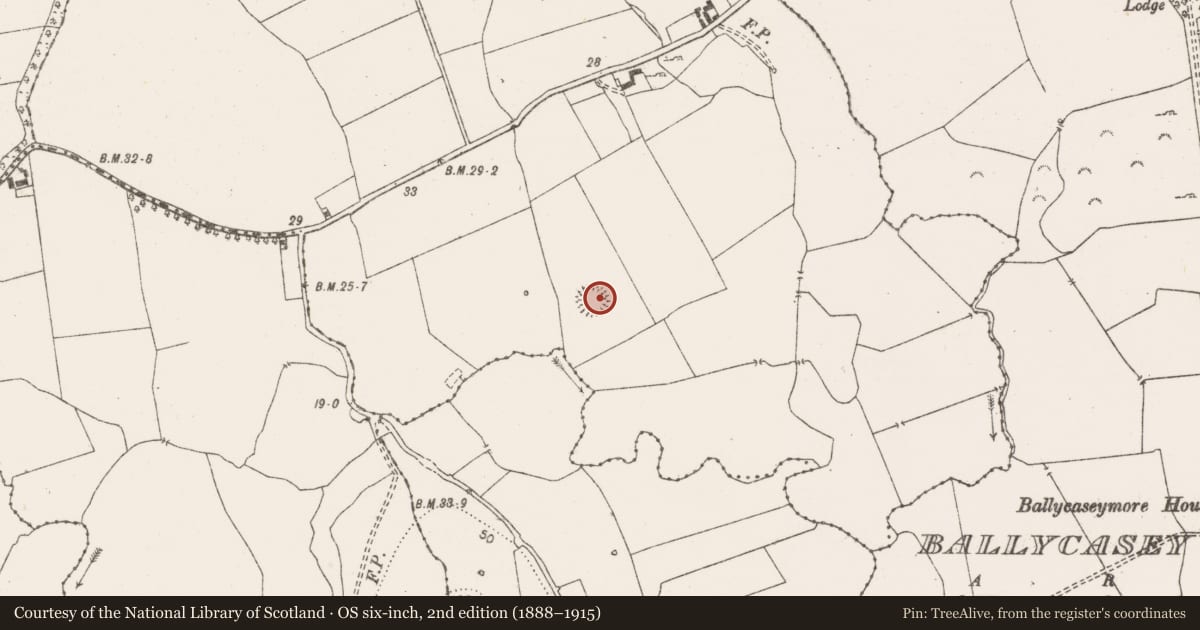 Ordnance Survey six-inch map, 2nd edition (1888–1915) covering the location of Enclosure, Smithstown, County Clare, with a pin at the register's coordinates