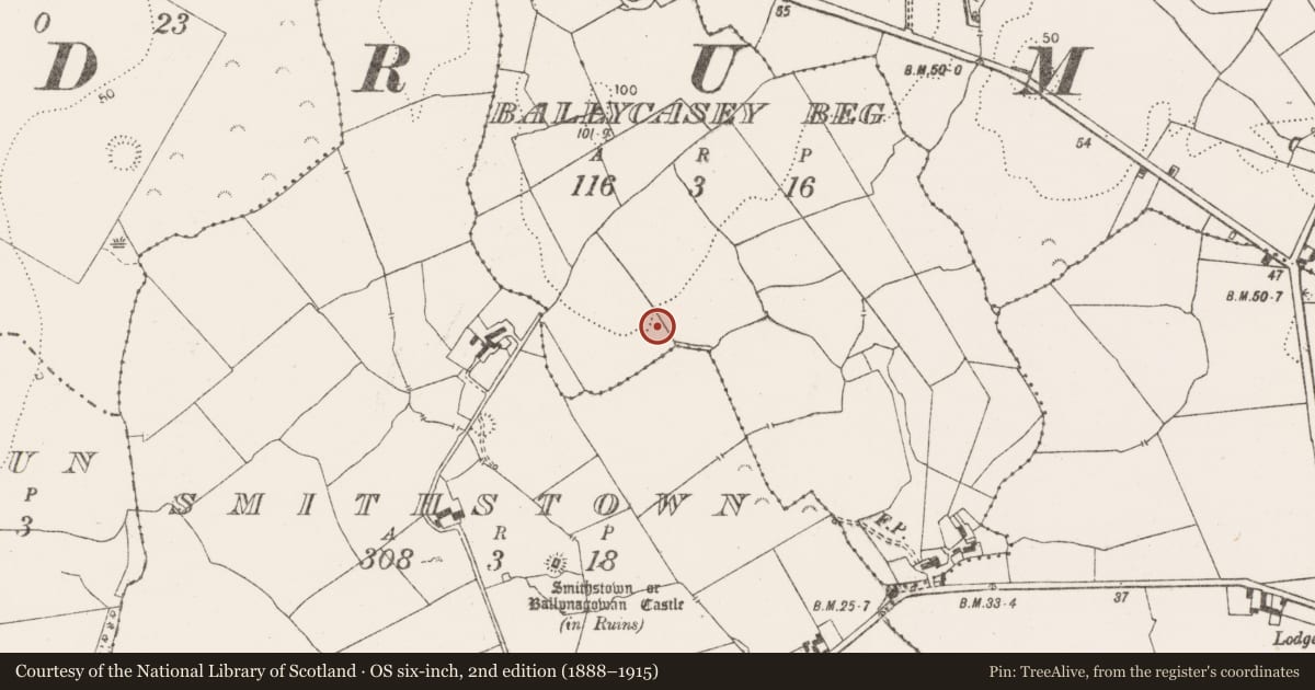 Ordnance Survey six-inch map, 2nd edition (1888–1915) covering the location of Enclosure, Ballycasey Beg, County Clare, with a pin at the register's coordinates